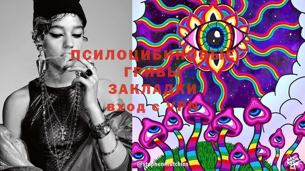 гашик Новодвинск
