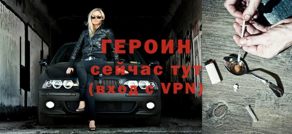 твердый Гусев