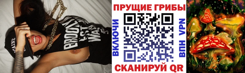 Галлюциногенные грибы прущие грибы  kraken онион  Красавино 